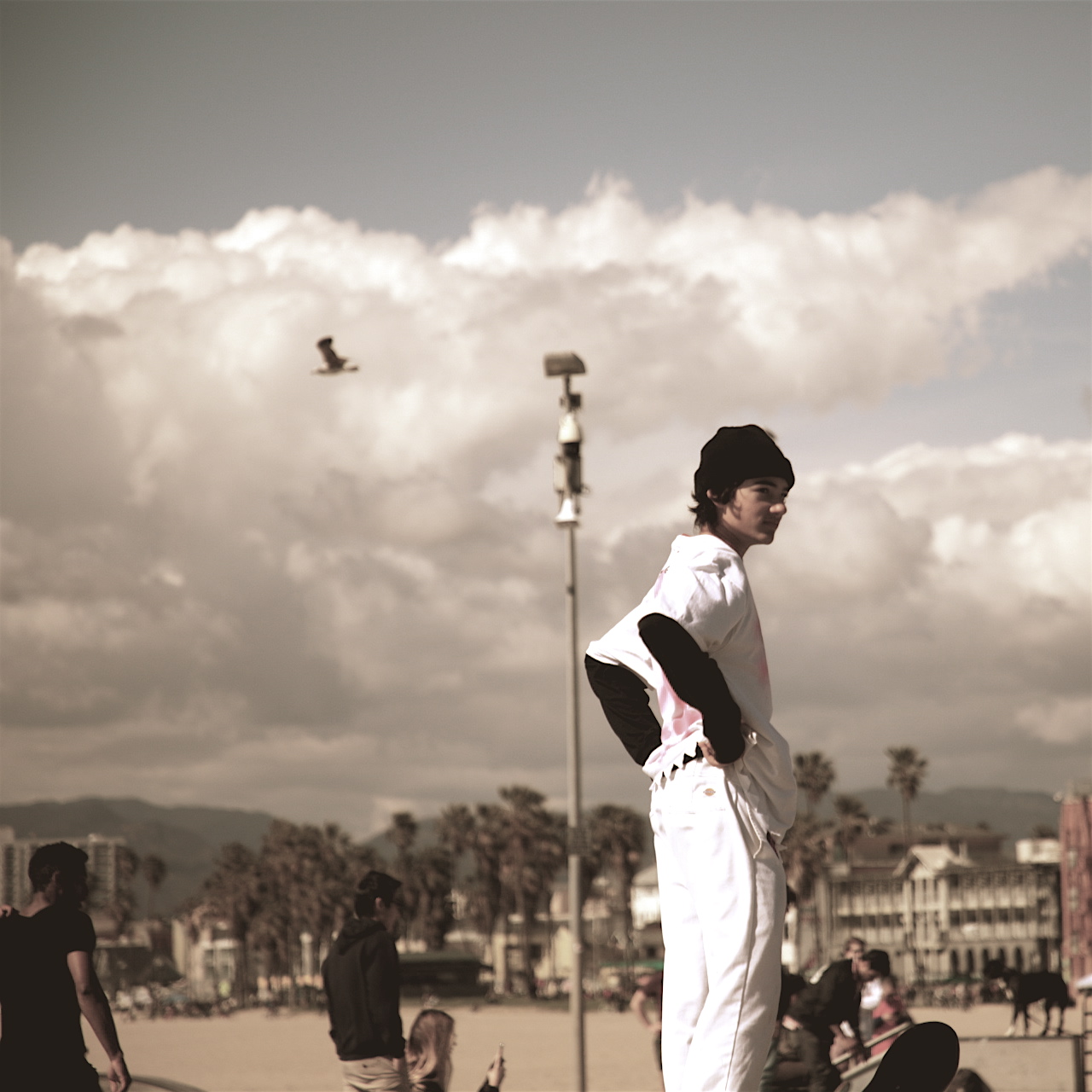 4F9A1109_2_2 gallery