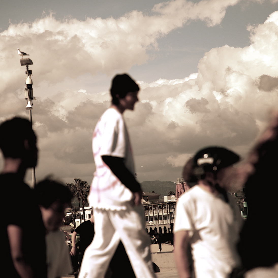 4F9A1110_2_2_2 gallery