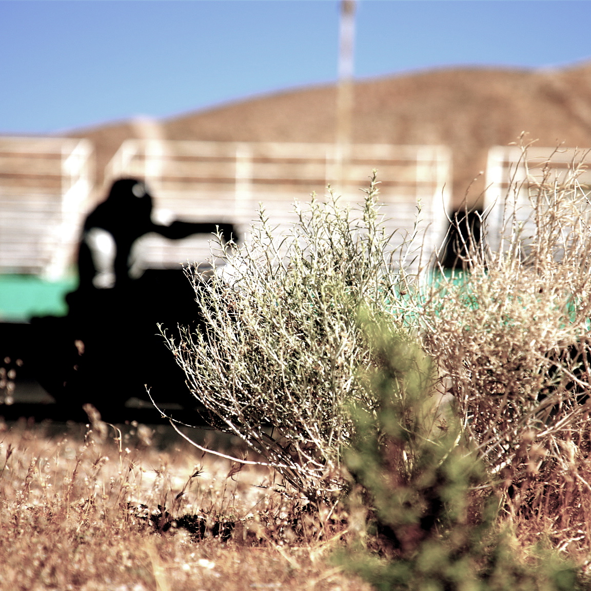 4F9A7083_2_2 gallery