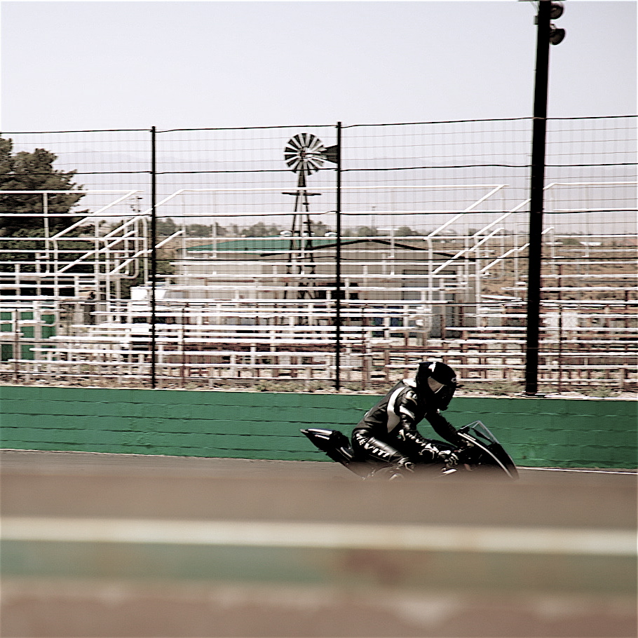 4F9A9088_2_2_2 gallery